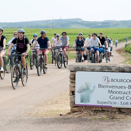 Le Lodge Du Parc Beaune  Eksteriør billede
