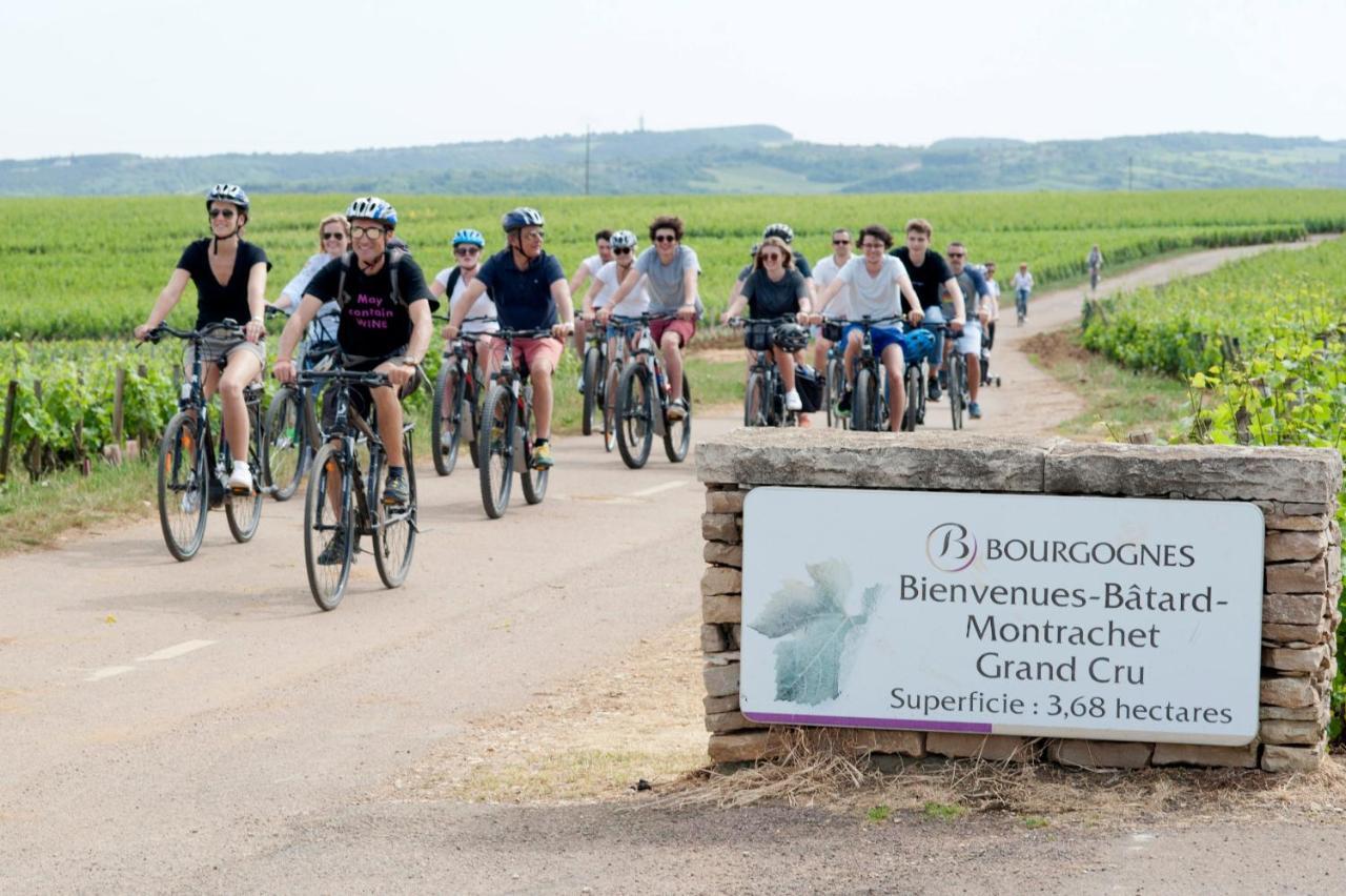 Le Lodge Du Parc Beaune  Eksteriør billede